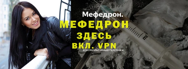 хмурый Пересвет